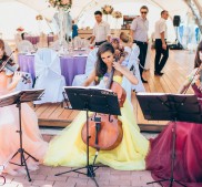 Артисты и ведущие на свадьбу и праздник