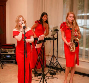 Артисты и ведущие на свадьбу и праздник